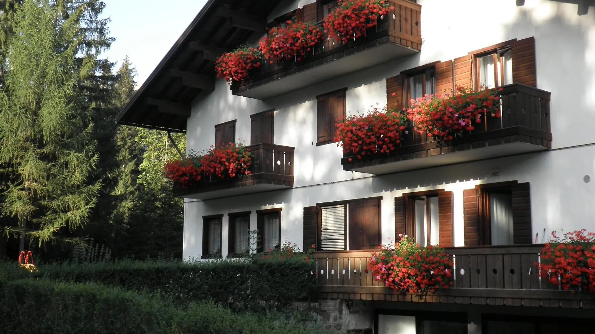 Appartamenti Nigritella Falcade Apartmán