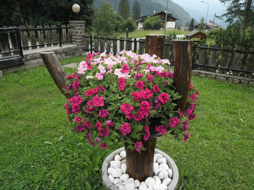 Apartment Appartamenti Nigritella